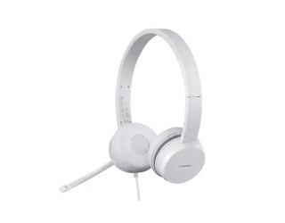 Lenovo 110 Stereo USB Headset