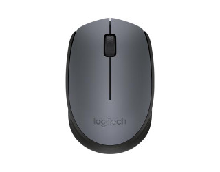 Logitech M171 Wireless Nano-receiver Mouse